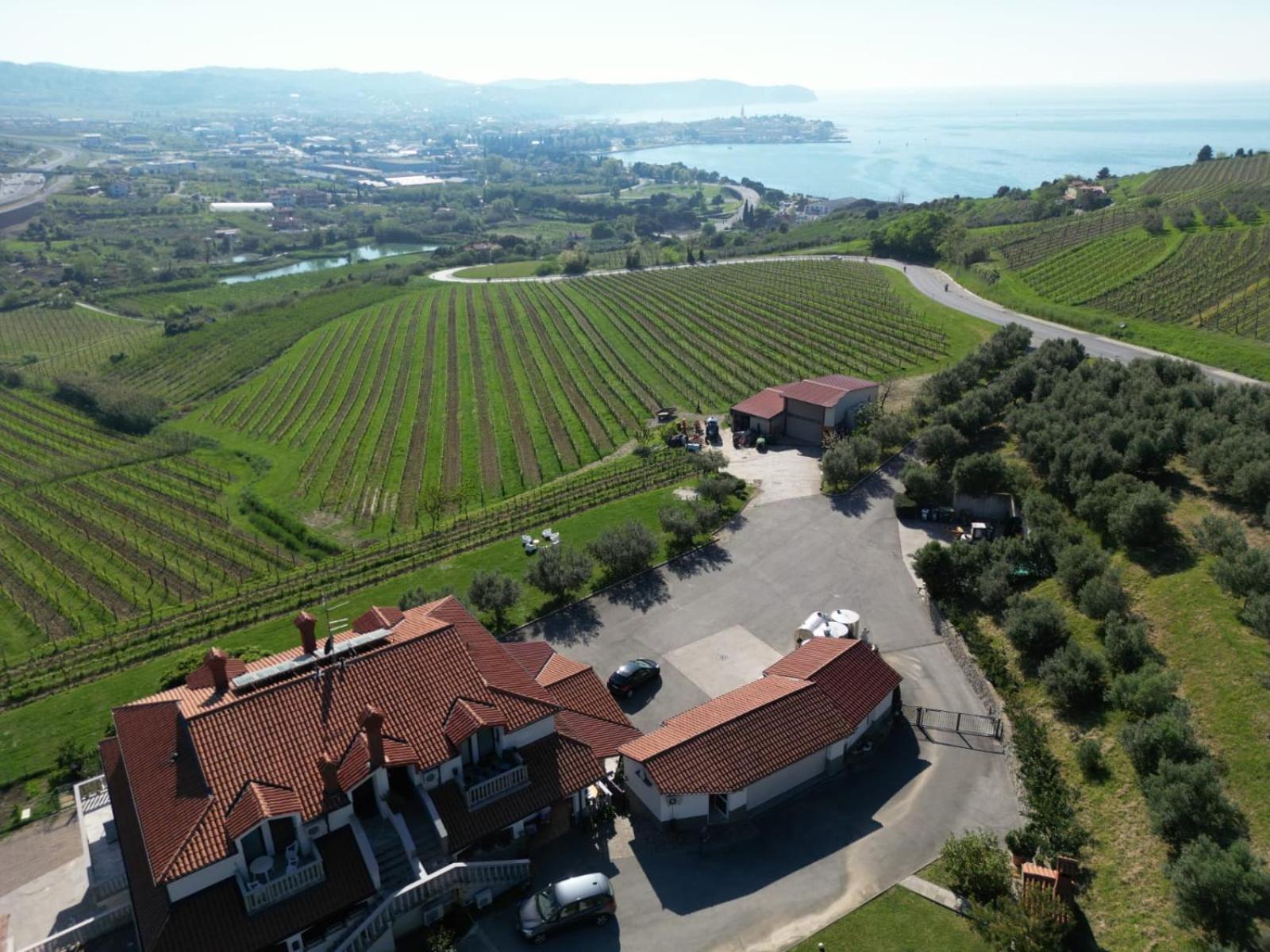 Sea Apartment Izola Εξωτερικό φωτογραφία
